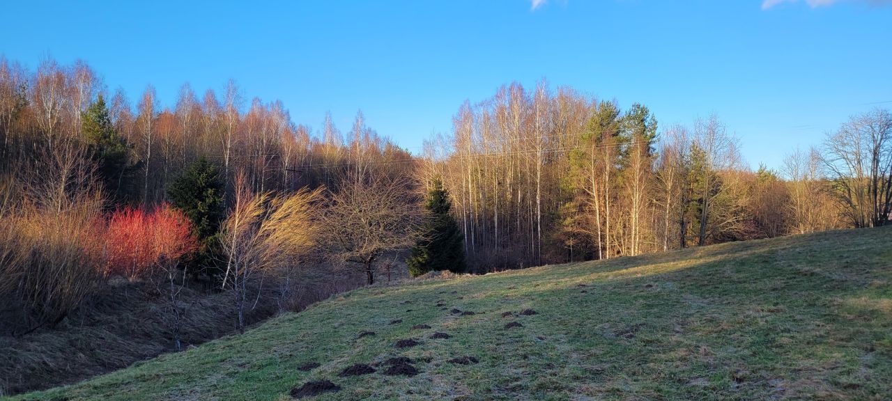 Działka rolno-budowlana Michalin, ul. Koronki