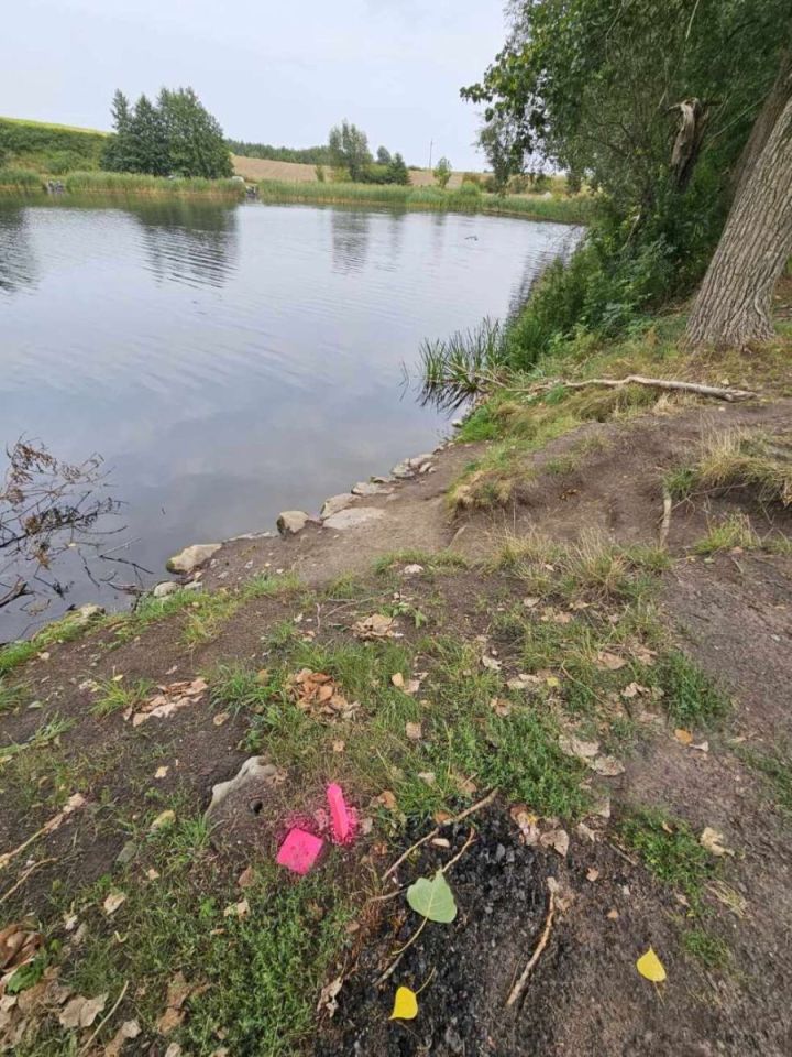 Działka budowlana Owieczki. Zdjęcie 5