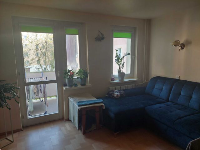 Mieszkanie 3-pokojowe Łódź Chojny. Zdjęcie 1