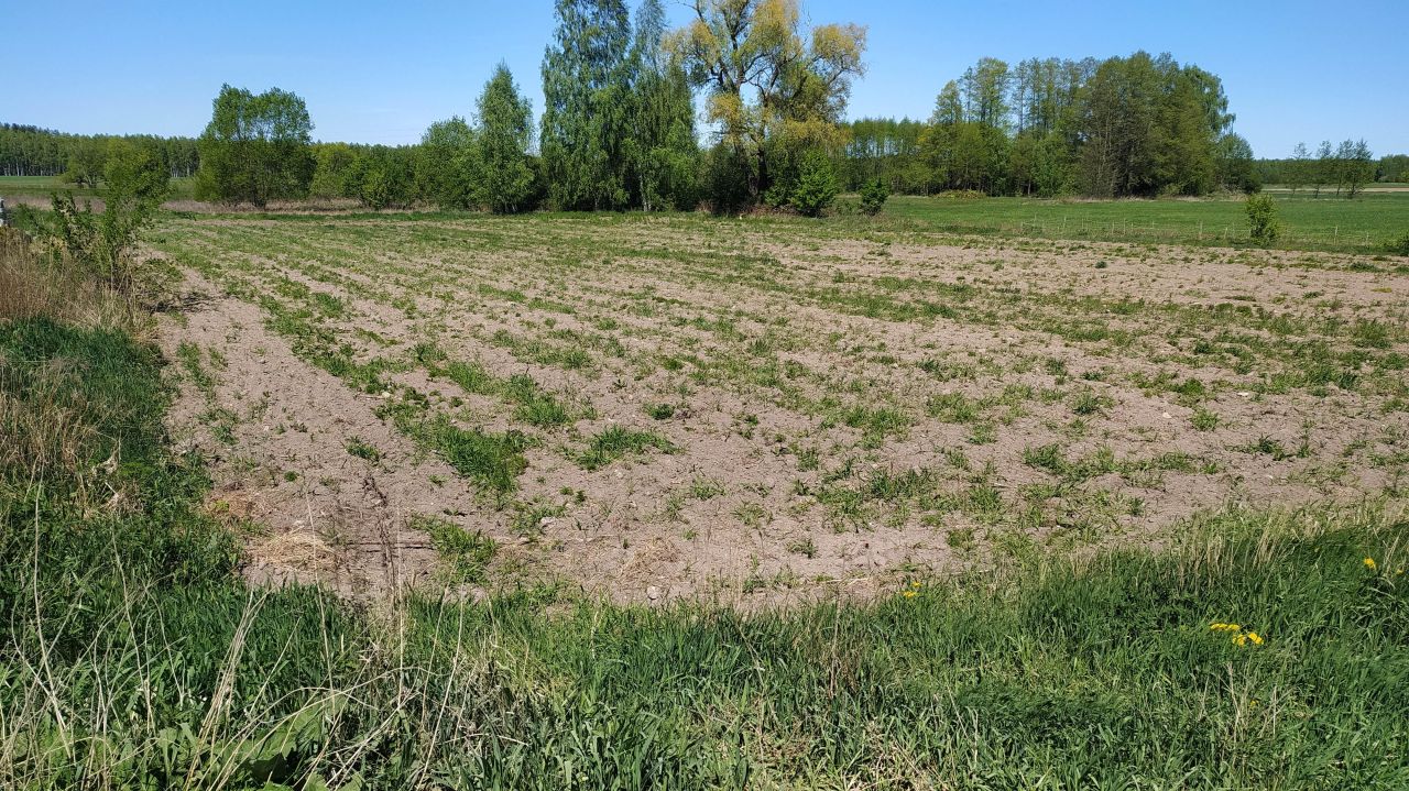 Działka rolno-budowlana Uhowo, ul. Widokowa. Zdjęcie 2