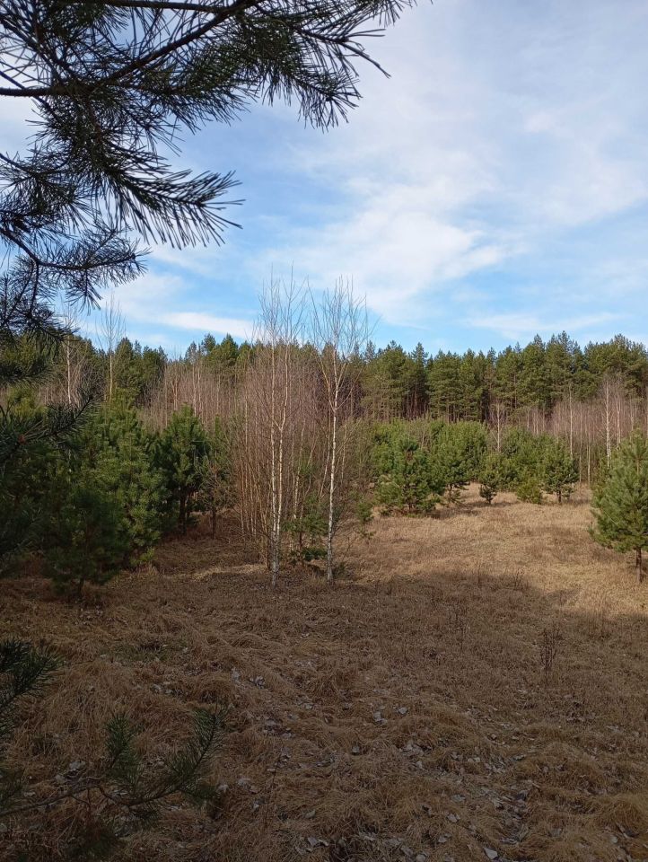 Działka budowlana Moszczona Pańska. Zdjęcie 4