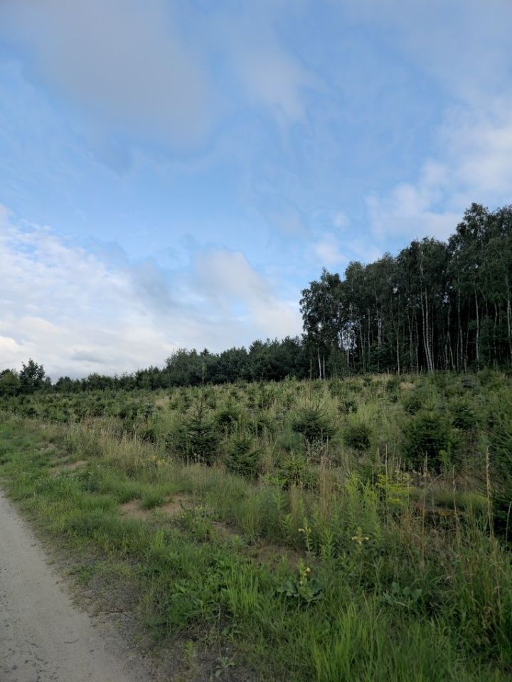 Działka budowlana Czernikowo. Zdjęcie 6