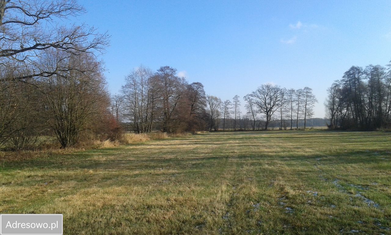 Działka budowlana Jarantów-Kolonia. Zdjęcie 8