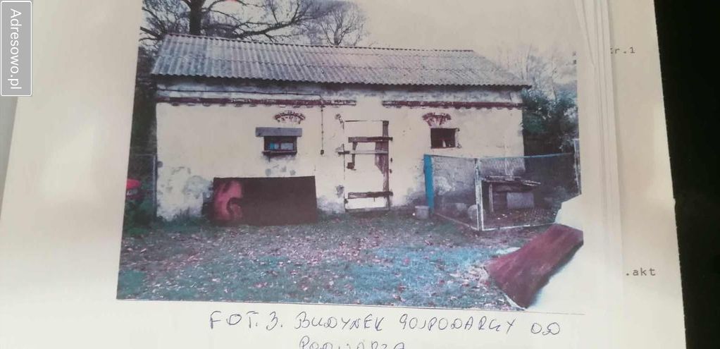 Działka rolna Steklin-Kolonia. Zdjęcie 2