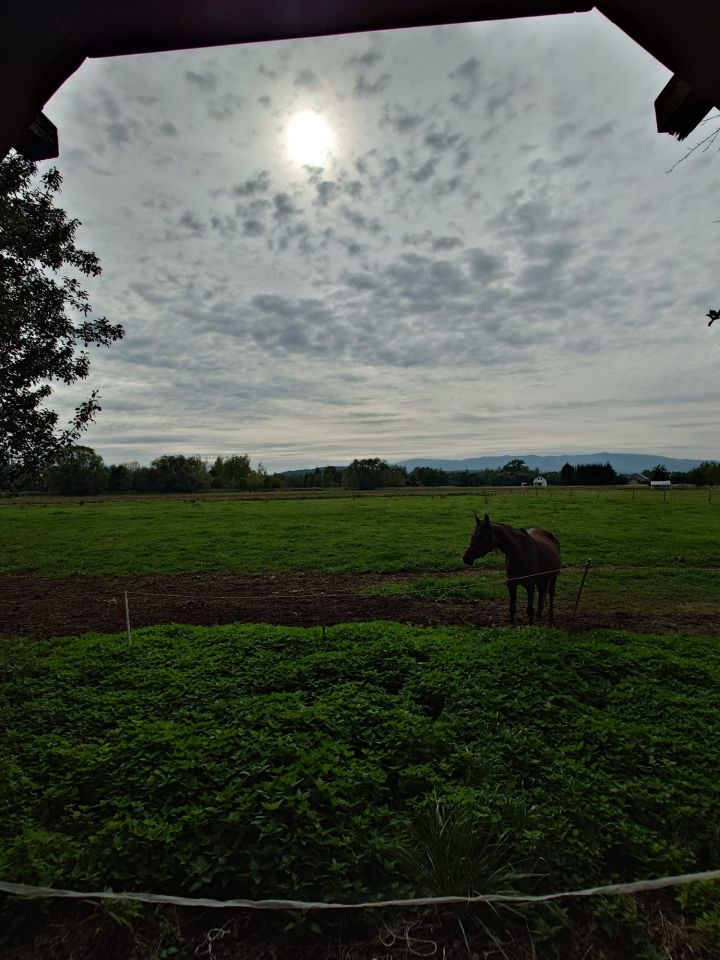 dom wolnostojący Stadła. Zdjęcie 8
