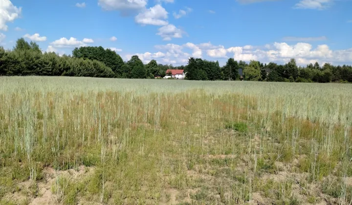 Działka rekreacyjna Burlaki Holendry, ul. Holendrów