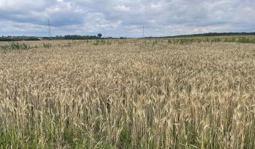 Działka inna Strzebiń, ul. Kosmonautów