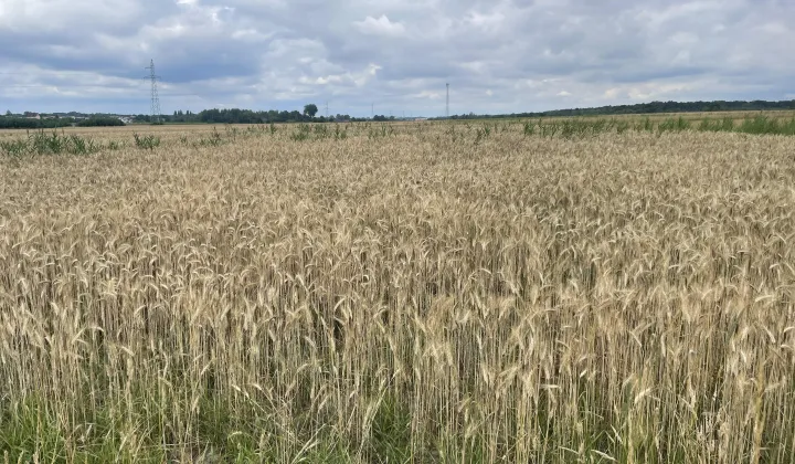 Działka inna Strzebiń, ul. Kosmonautów