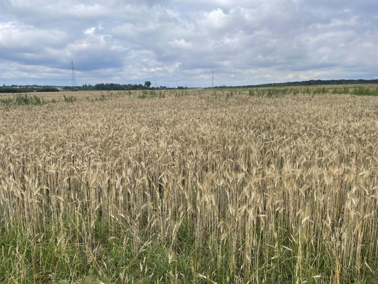 Działka inna Strzebiń, ul. Kosmonautów