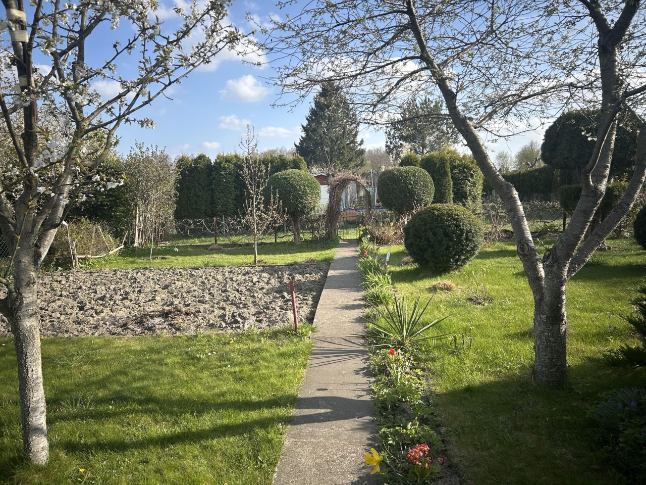 Działka rod Janowo, Ostrołęcka 2. Zdjęcie 7