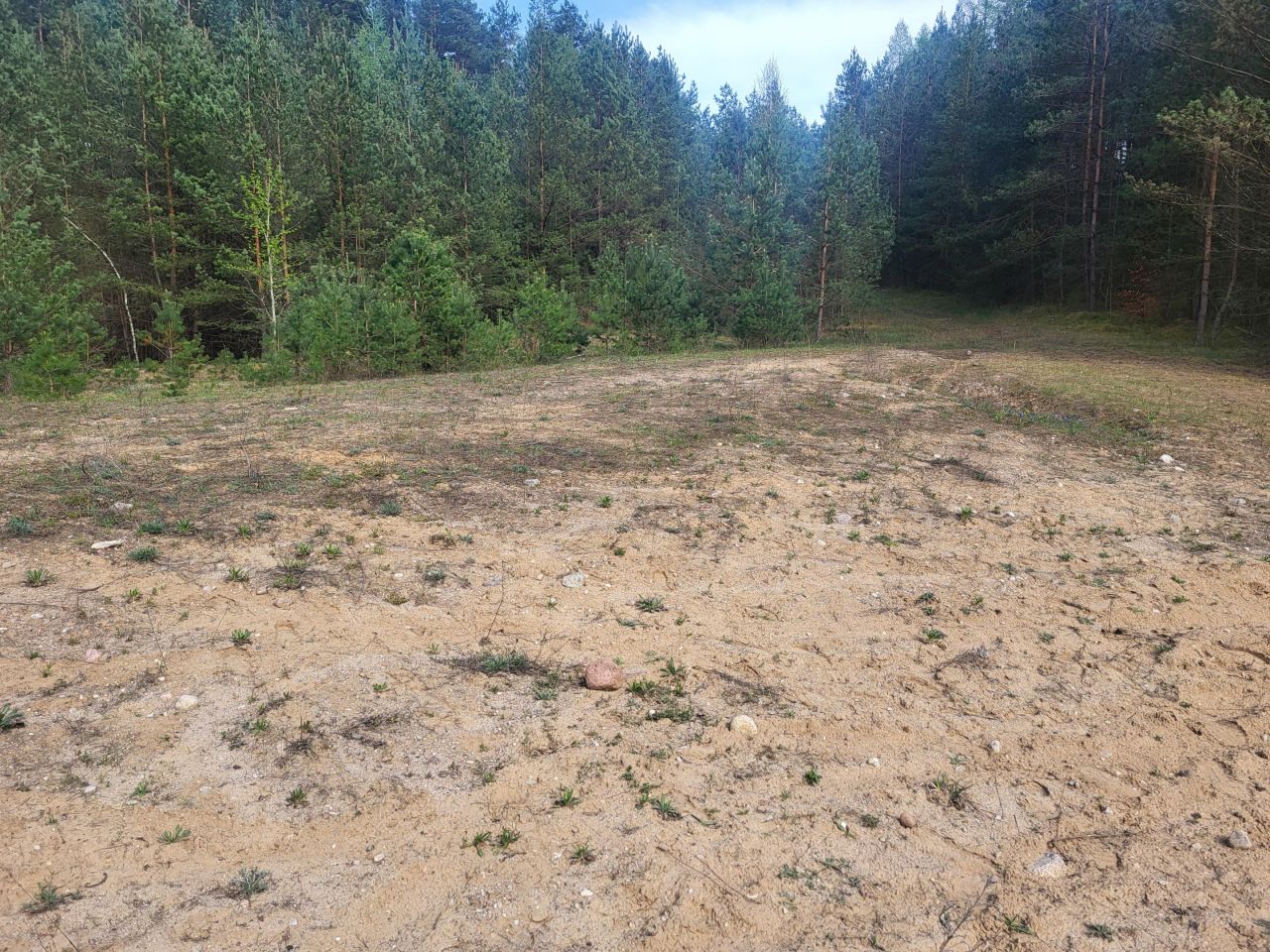 Działka budowlana Dzierżążno. Zdjęcie 3
