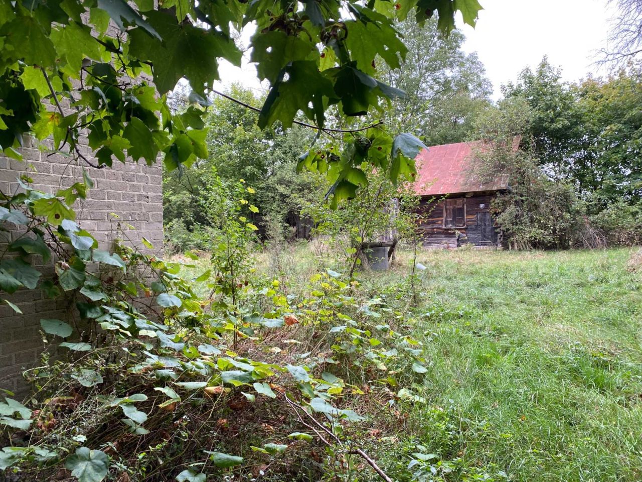 Działka siedliskowa Łózki. Zdjęcie 3