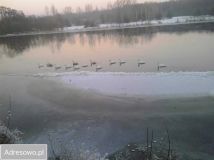 dom wolnostojący, 6 pokoi Różan. Zdjęcie 2