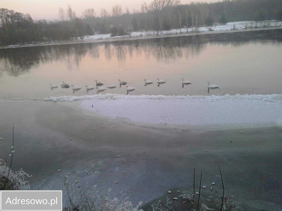 dom wolnostojący, 6 pokoi Różan. Zdjęcie 3