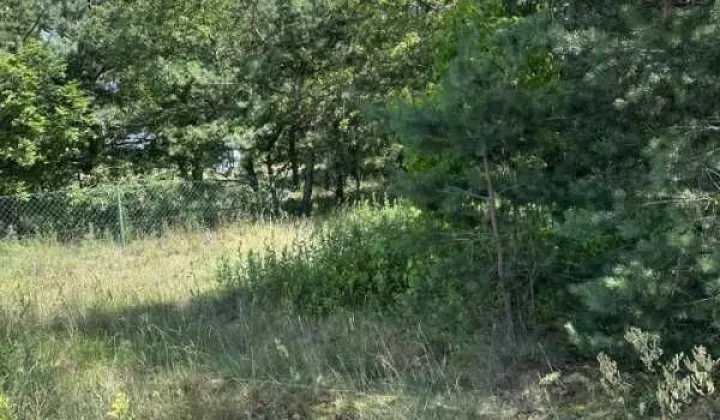 Działka rolno-budowlana Kolonia