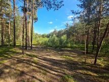 Działka leśna Niechmirów. Zdjęcie 2