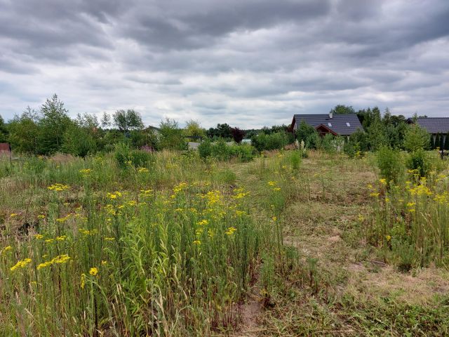 Działka budowlana Mosina, Bławatkowa. Zdjęcie 1