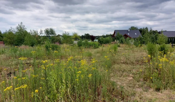 Działka budowlana Radzewice, Bławatkowa
