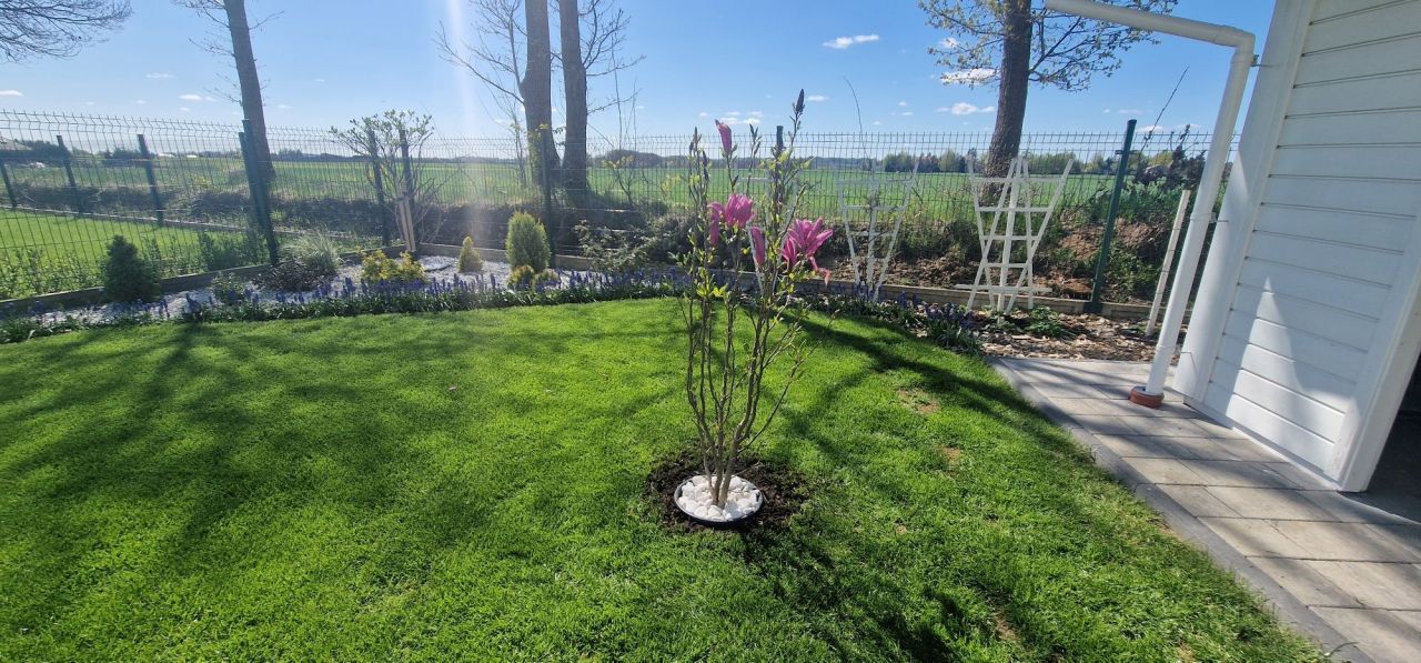 bliźniak Gdynia. Zdjęcie 2