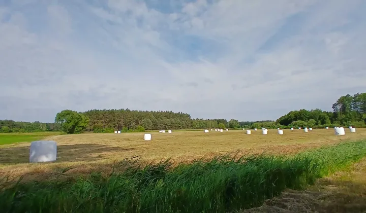Działka rolna Wierzchuca Nadbużna