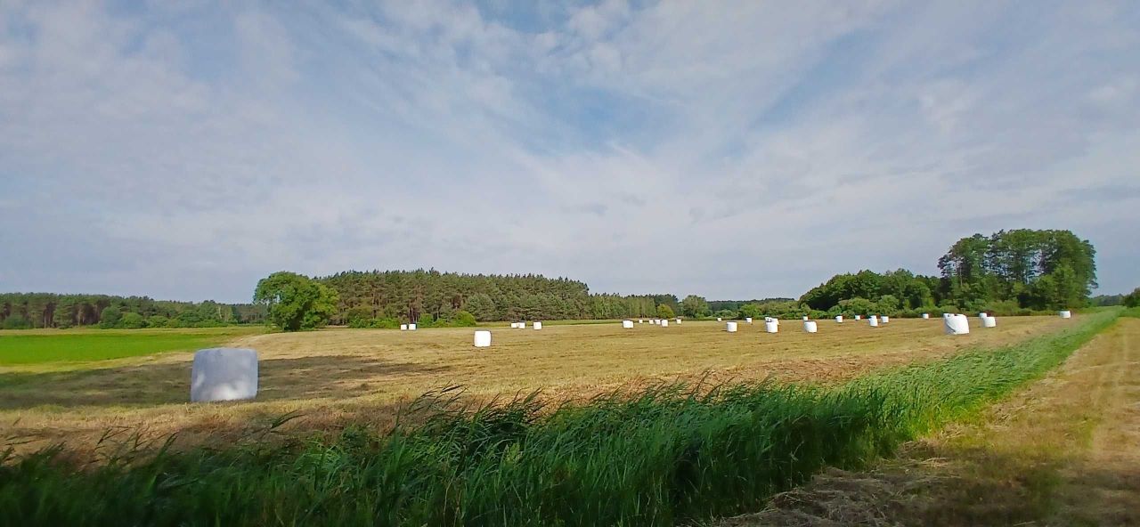 Działka rolna Wierzchuca Nadbużna. Zdjęcie 1