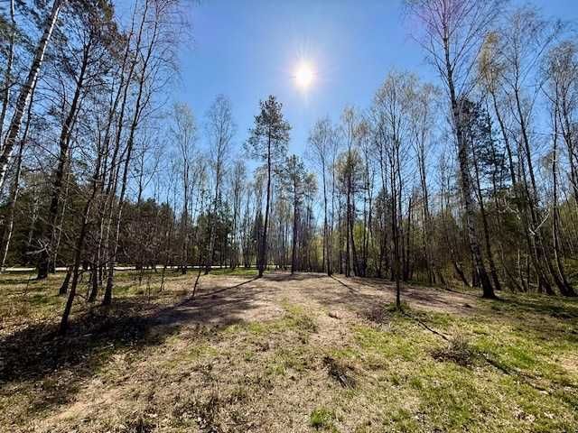 Działka budowlana Puste Łąki. Zdjęcie 6