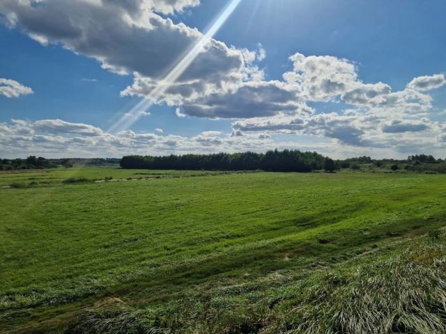Działka siedliskowa Pawłówek. Zdjęcie 1