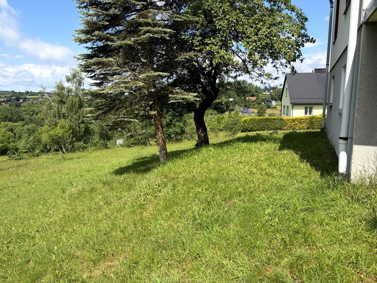 Działka rolno-budowlana Mszalnica. Zdjęcie 2