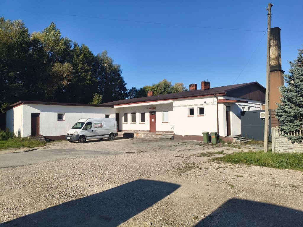 Działka inwestycyjna Krasocin. Zdjęcie 2