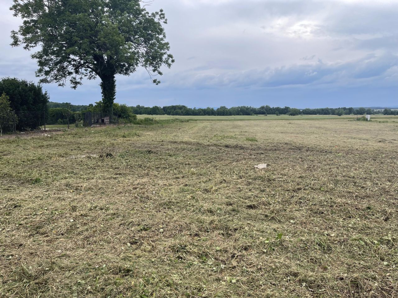 Działka rolno-budowlana Gościce. Zdjęcie 5