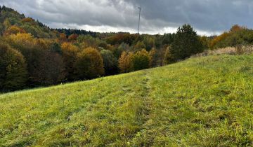 Działka rolna Wesoła