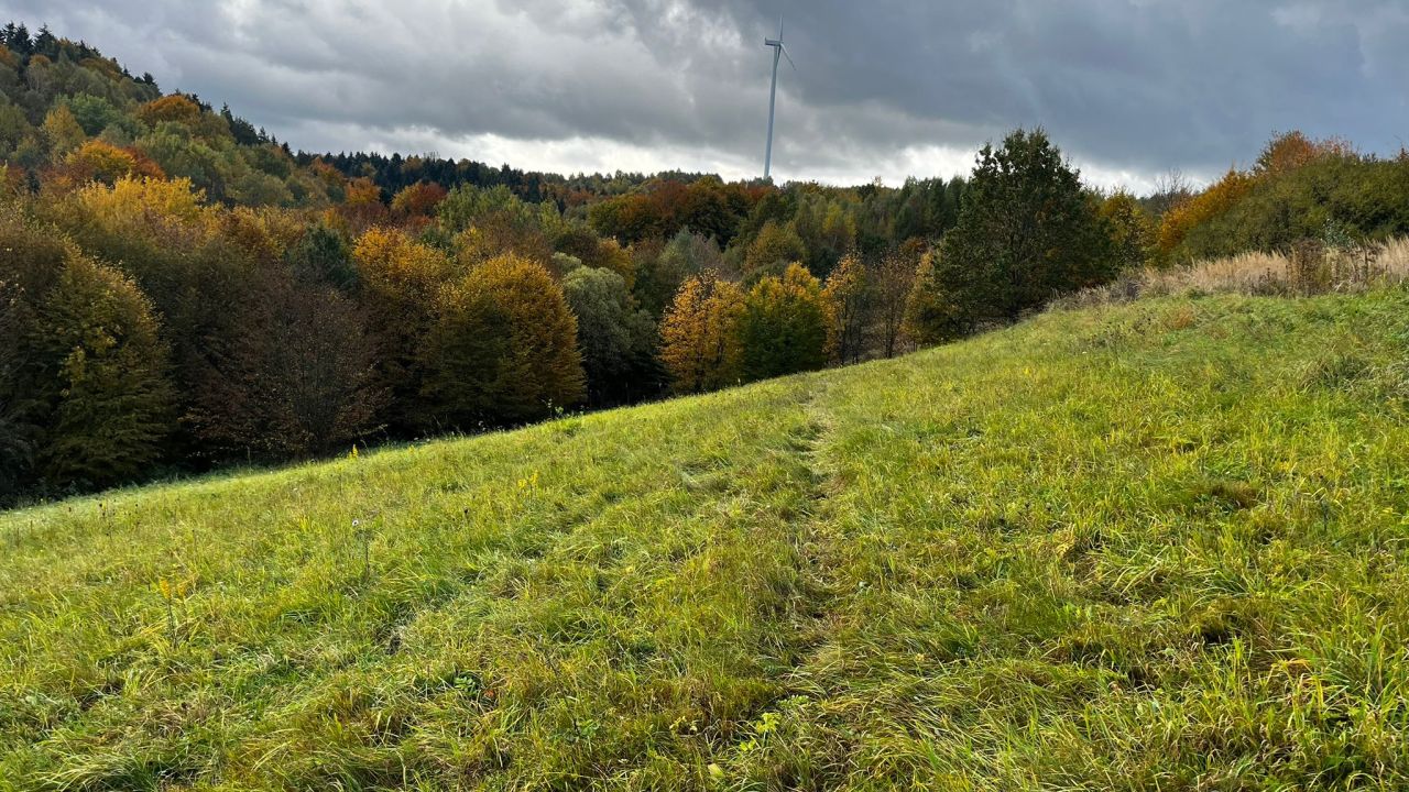 Działka rolna Wesoła. Zdjęcie 2