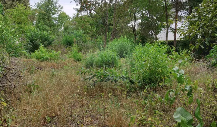 Działka budowlana Stara Wieś