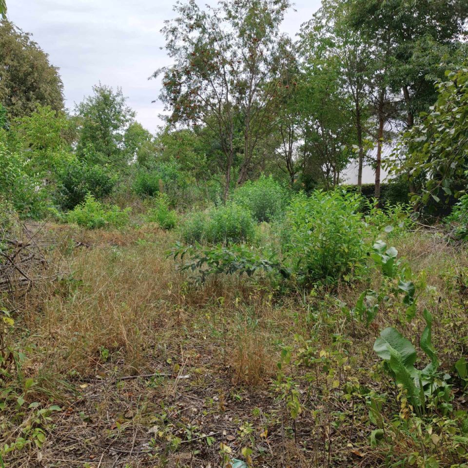 Działka budowlana Stara Wieś. Zdjęcie 1