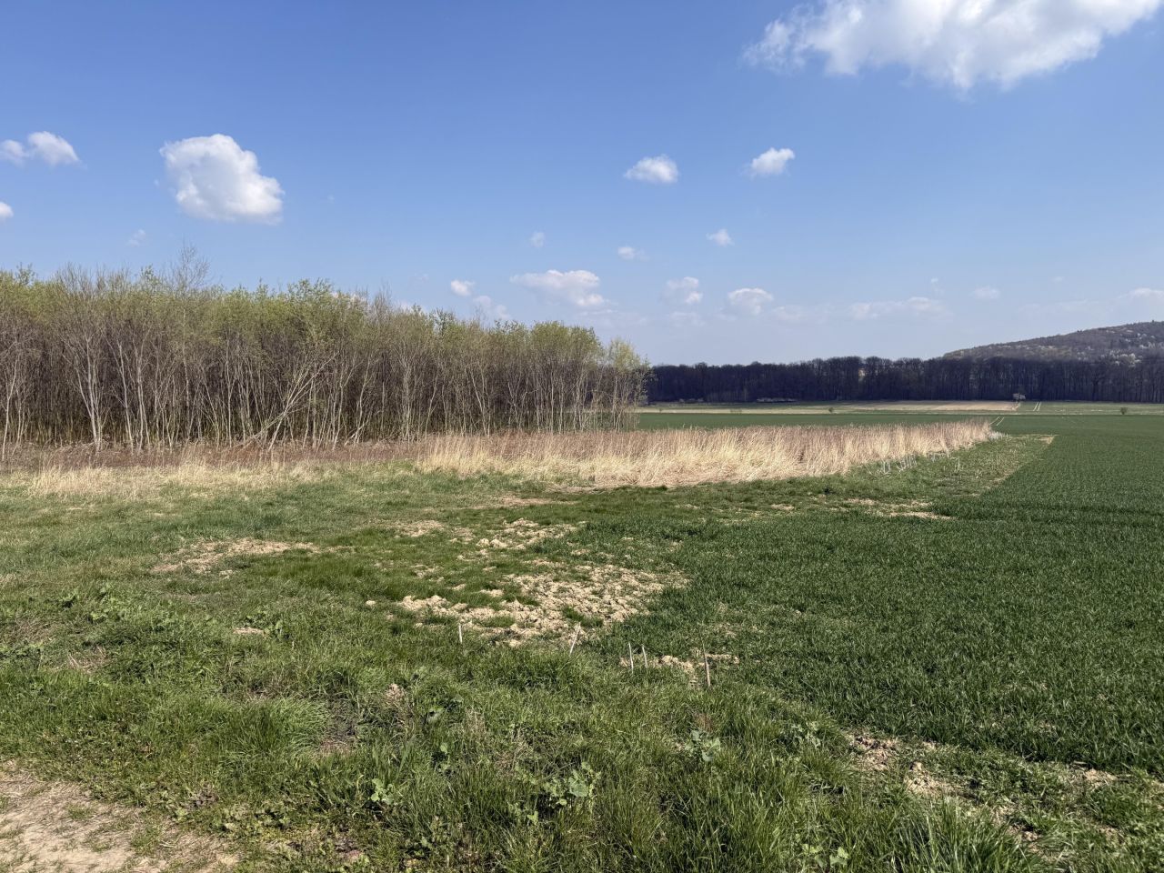 Działka budowlana Kruków, ul. Tarnawska. Zdjęcie 13