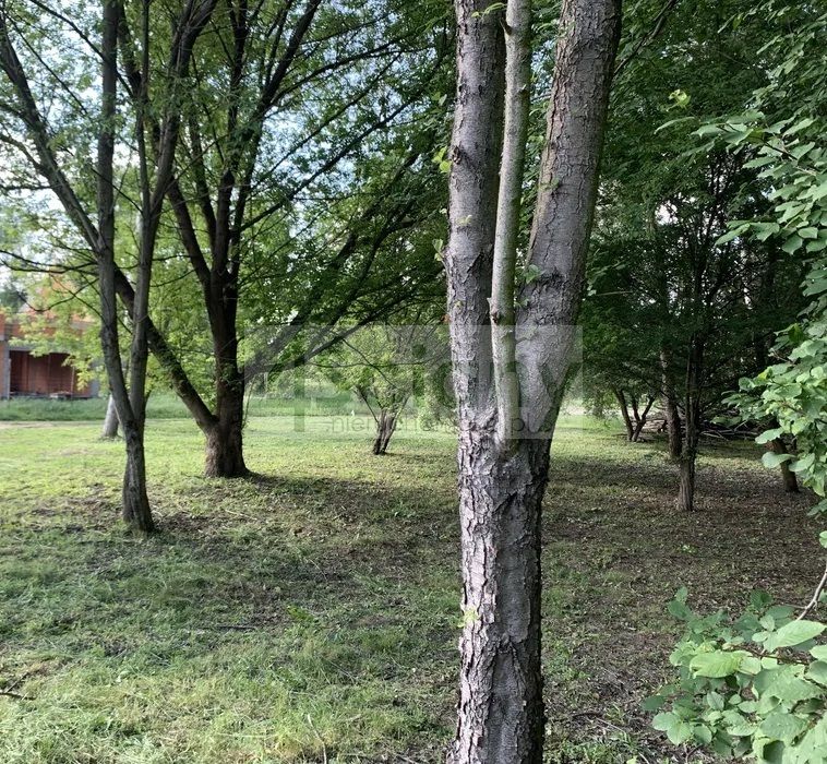 Działka budowlana Kanie. Zdjęcie 5