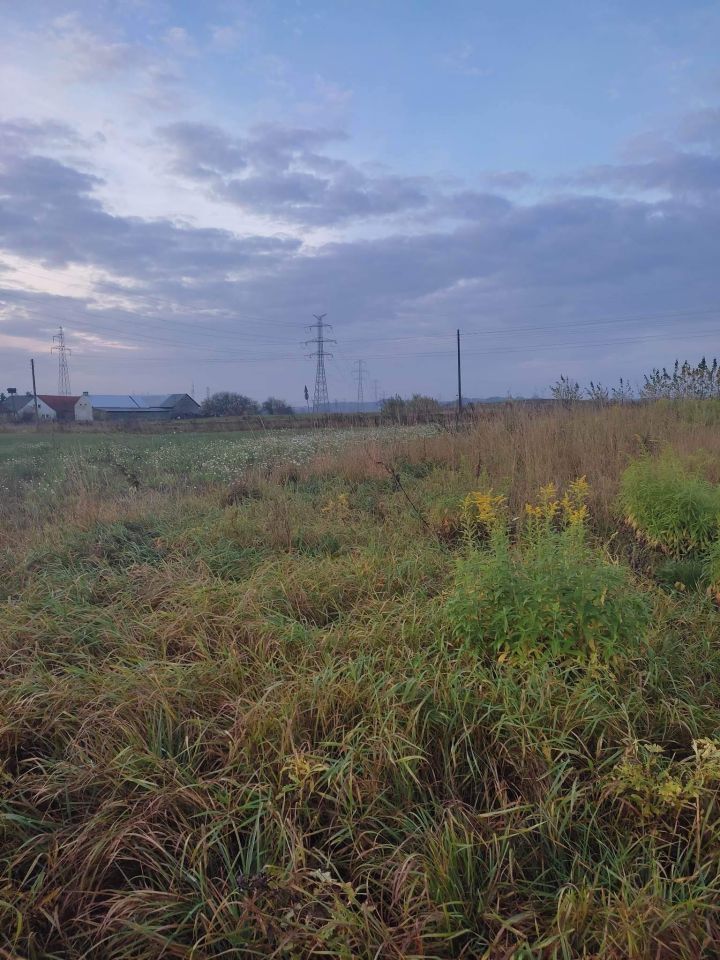 Działka rolno-budowlana Maleczewo. Zdjęcie 4