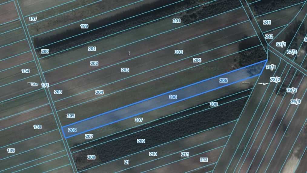 Działka rolno-budowlana Dąbie. Zdjęcie 4