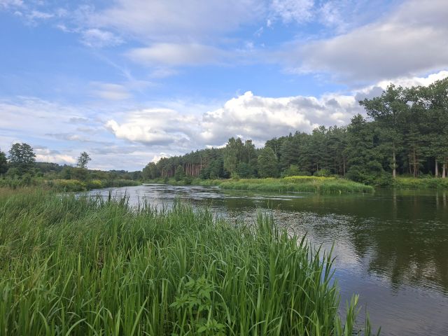 Działka rolno-budowlana Karolewo. Zdjęcie 10