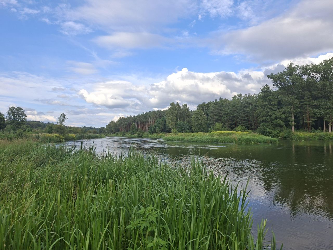 Działka rolno-budowlana Karolewo. Zdjęcie 10