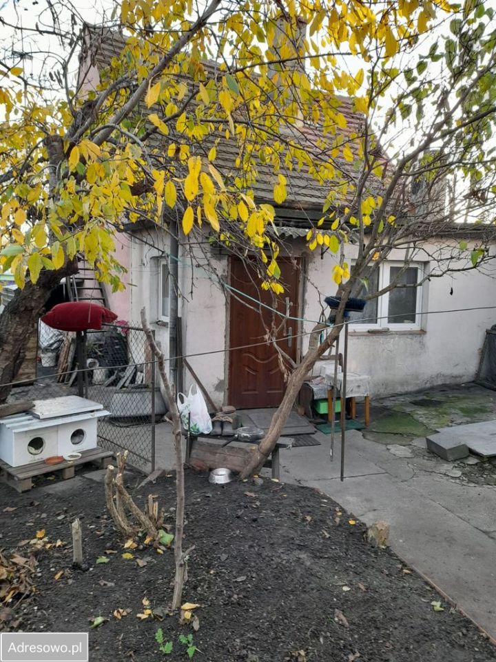 dom wolnostojący, 3 pokoje Prusice, ul. Wrocławska. Zdjęcie 5