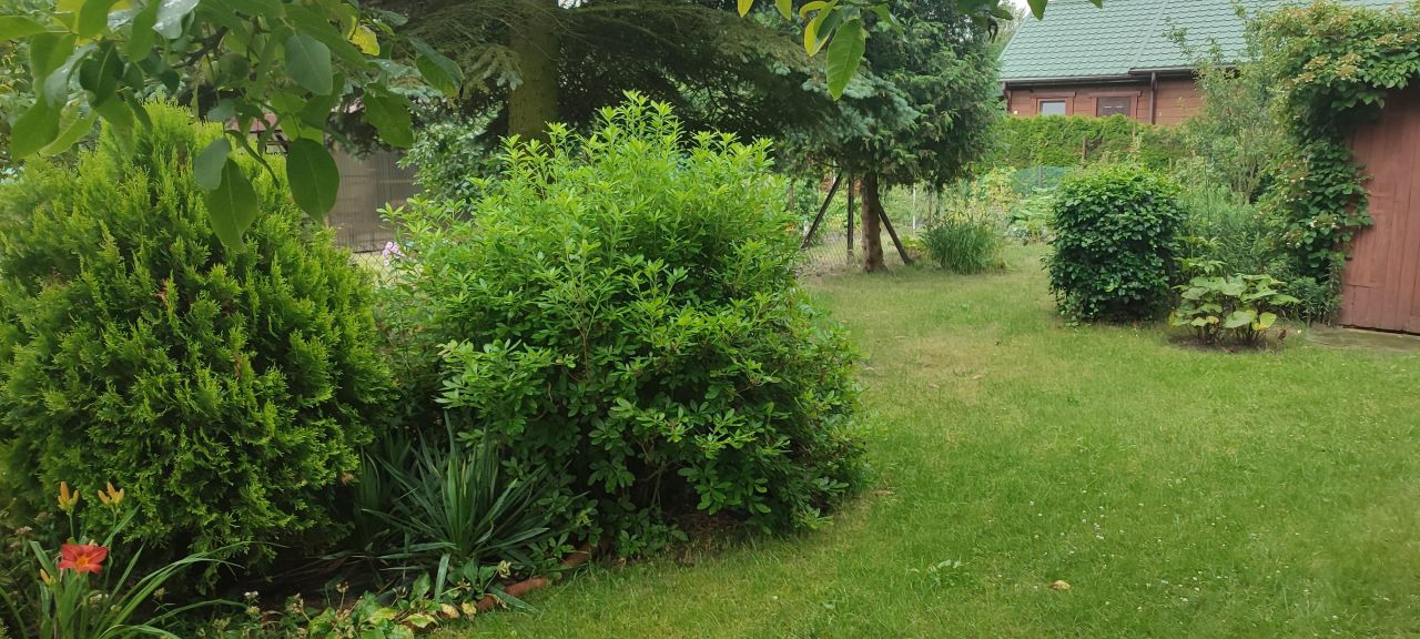 Działka rod Wrząca, ul. Wrzosowa. Zdjęcie 3