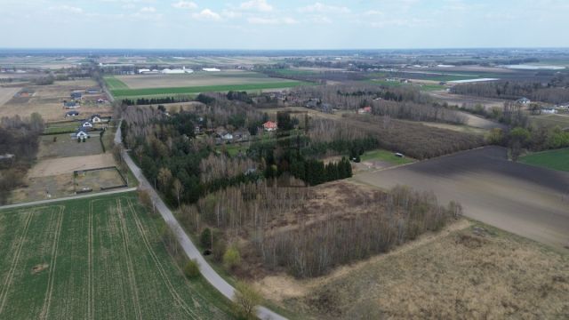 Działka inwestycyjna Cholewy. Zdjęcie 6