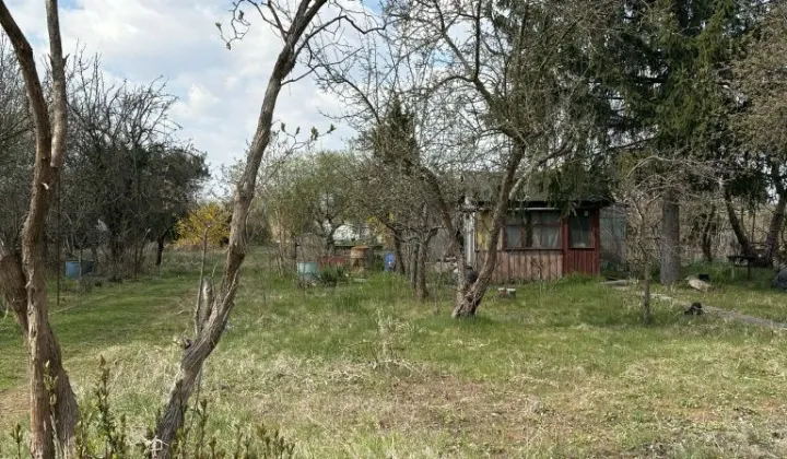 Działka rod Wrocław Krzyki, ul. Terenowa