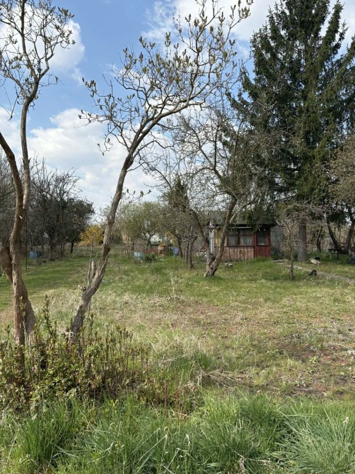 Działka rod Wrocław Krzyki, ul. Terenowa. Zdjęcie 1