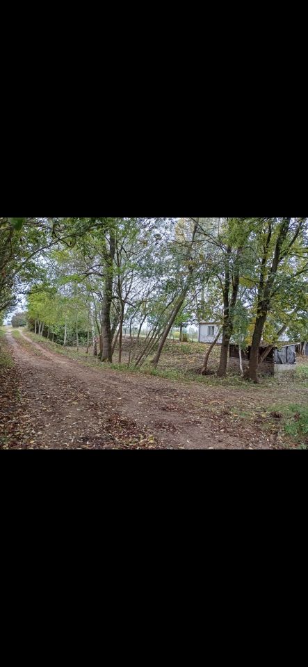 dom wolnostojący, 4 pokoje Wasilew Szlachecki, Wasilew Szlachecki. Zdjęcie 9