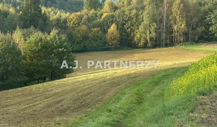 Działka budowlana Grajów