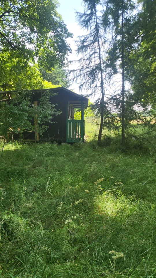 Działka inwestycyjna Lubów. Zdjęcie 2