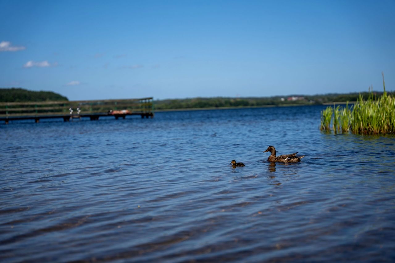 Działka rolno-budowlana Garcz, ul. Widokowa. Zdjęcie 10
