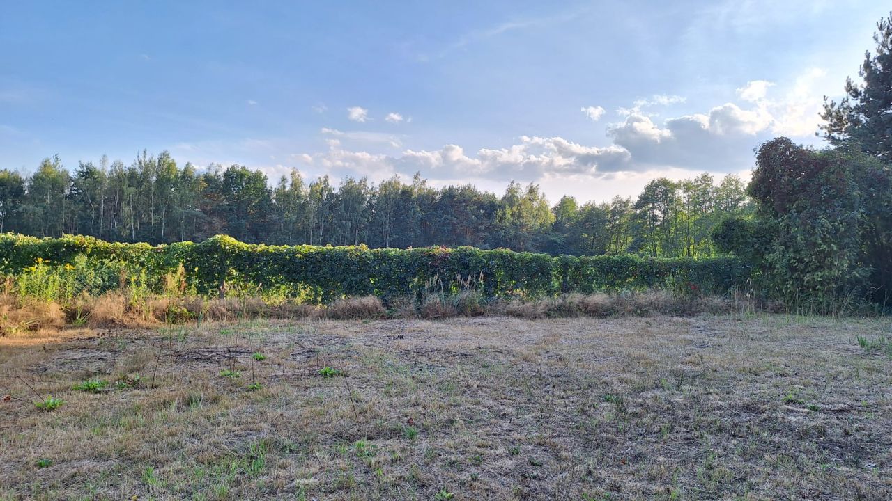 Działka budowlana Piskórka, ul. Świerkowa. Zdjęcie 7